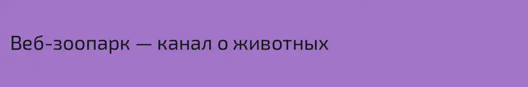 Веб-зоопарк — канал о животных
